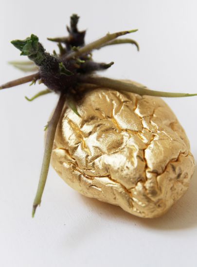 Pomme de terre