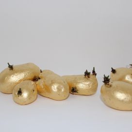Pommes de terre